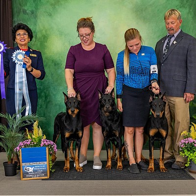 Fleur de Renard Beaucerons