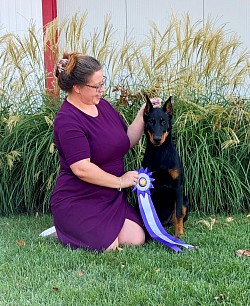 Fleur de Renard Beaucron Puppy Violet AKC ABC Regional Specialty Reserve Winners Bitch