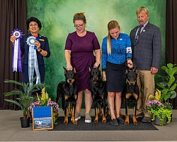 Alaska with two girls from our Loky x Alaska 2024 V litter after showing exceptionally well at the 2024 ABC Regional Specialty